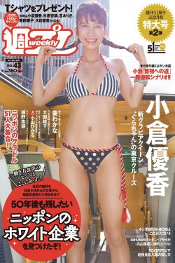 梅花儿香电视剧免费观看全集